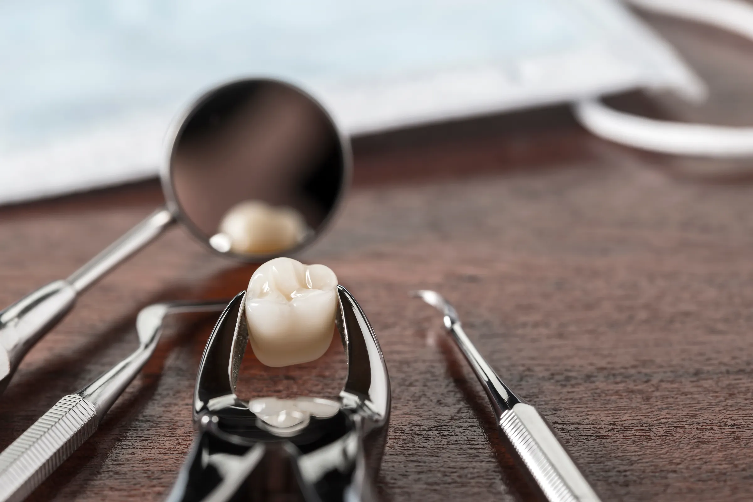 Extraction forceps holding a tooth, beside a dental mirror