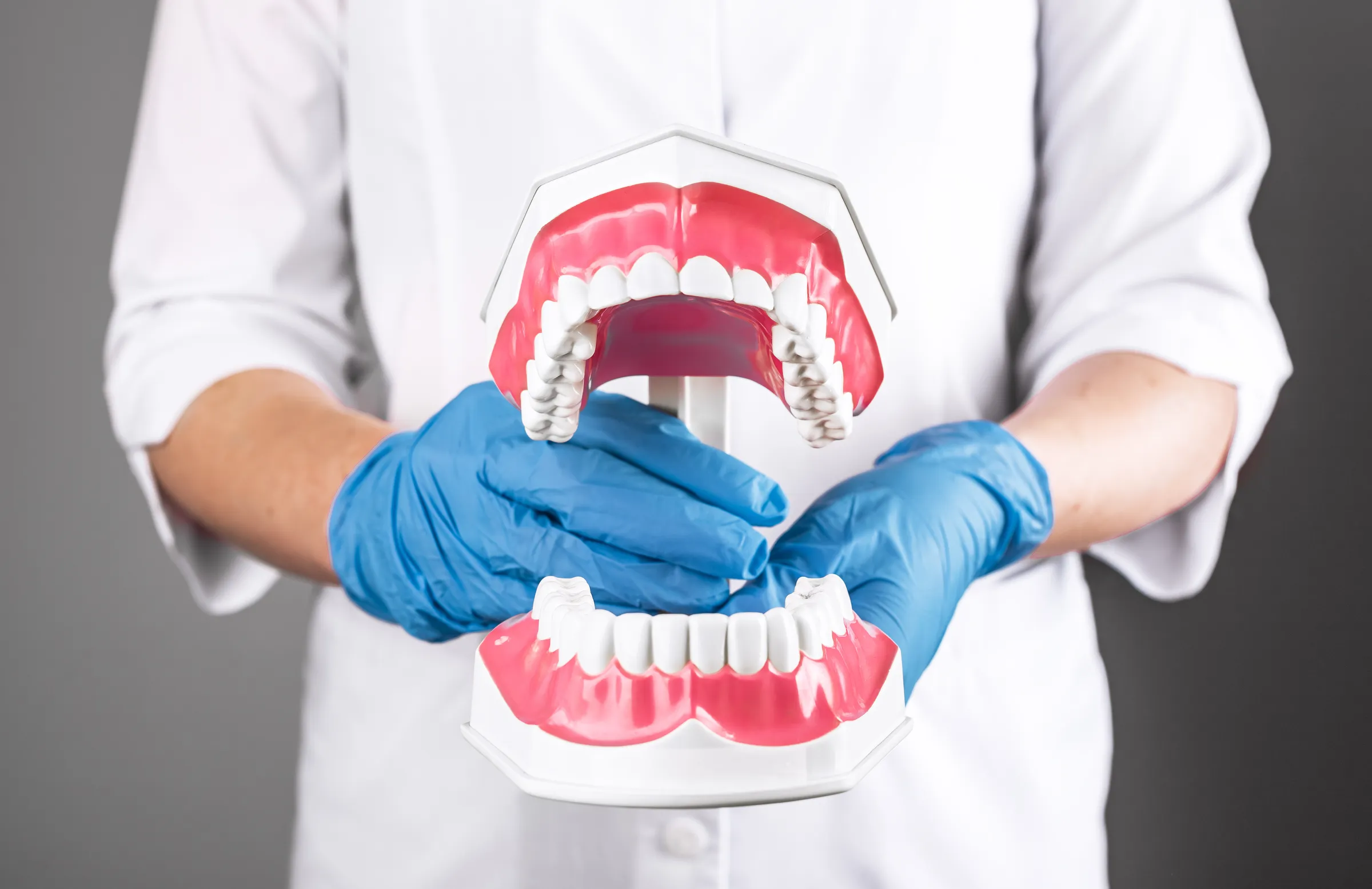 A clinician holding a hinged model of the upper and lower jaw